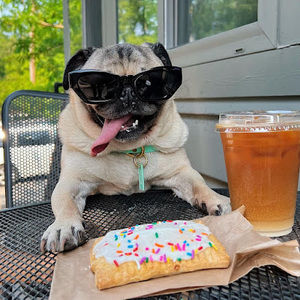 Meet your Posher, Vincent